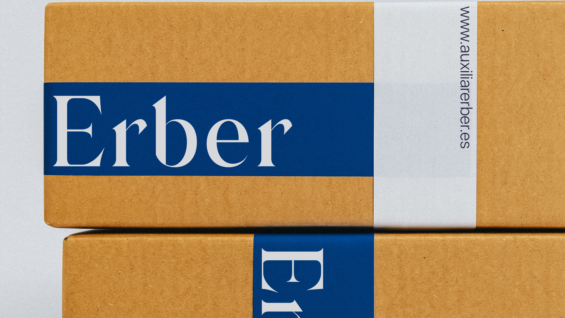 Branding Auxiliar Erber 3