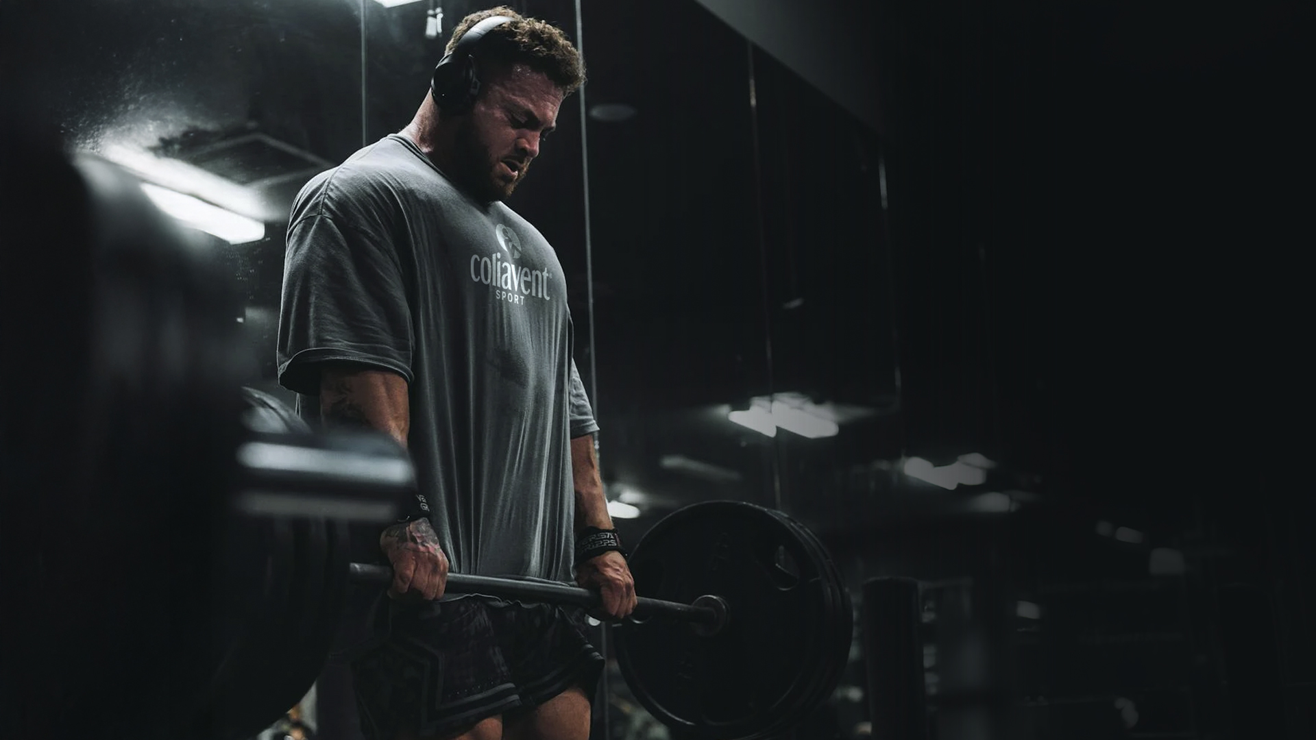 Porfolio Coliavent Imagen 01