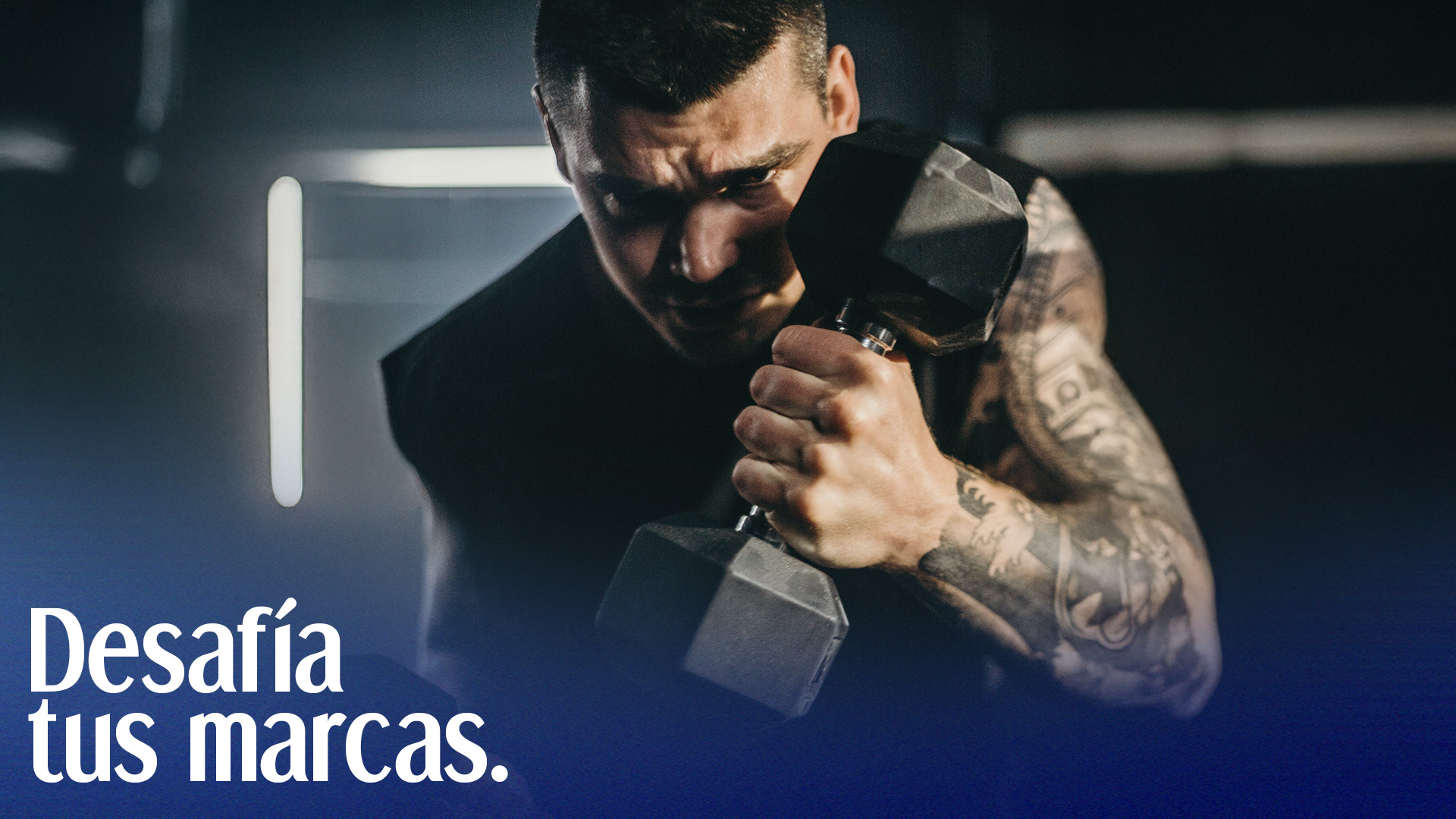 Porfolio Coliavent Imagen 03