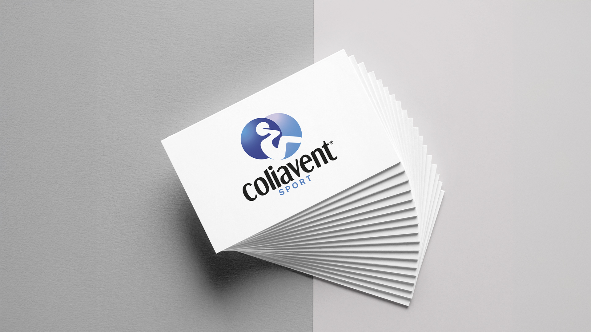 Porfolio Coliavent Imagen 04